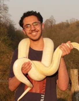 تصویر پرهام عباسی - برنامه نویس فرانتاند و UI/UX