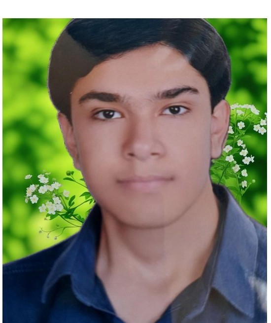 علی میر محمد